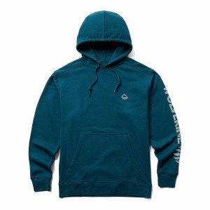 Blue Wolverine Graphic- Sleeve Logo Men Hoodie | PXH2476KF