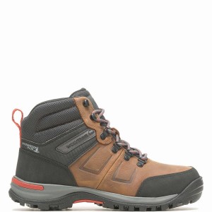 Brown Black Wolverine Chisel 6" Steel-Toe Men Work Boots | LAL4076KV