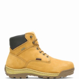 Brown Wolverine Dublin Waterproof Insulated 6" Men Work Boots | XVL2240TW