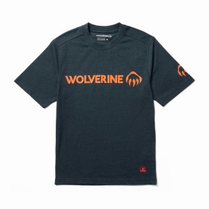 Navy Orange Wolverine Modern Fit Short Sleeve Graphic Tee Men T Shirts | RHQ3460TS