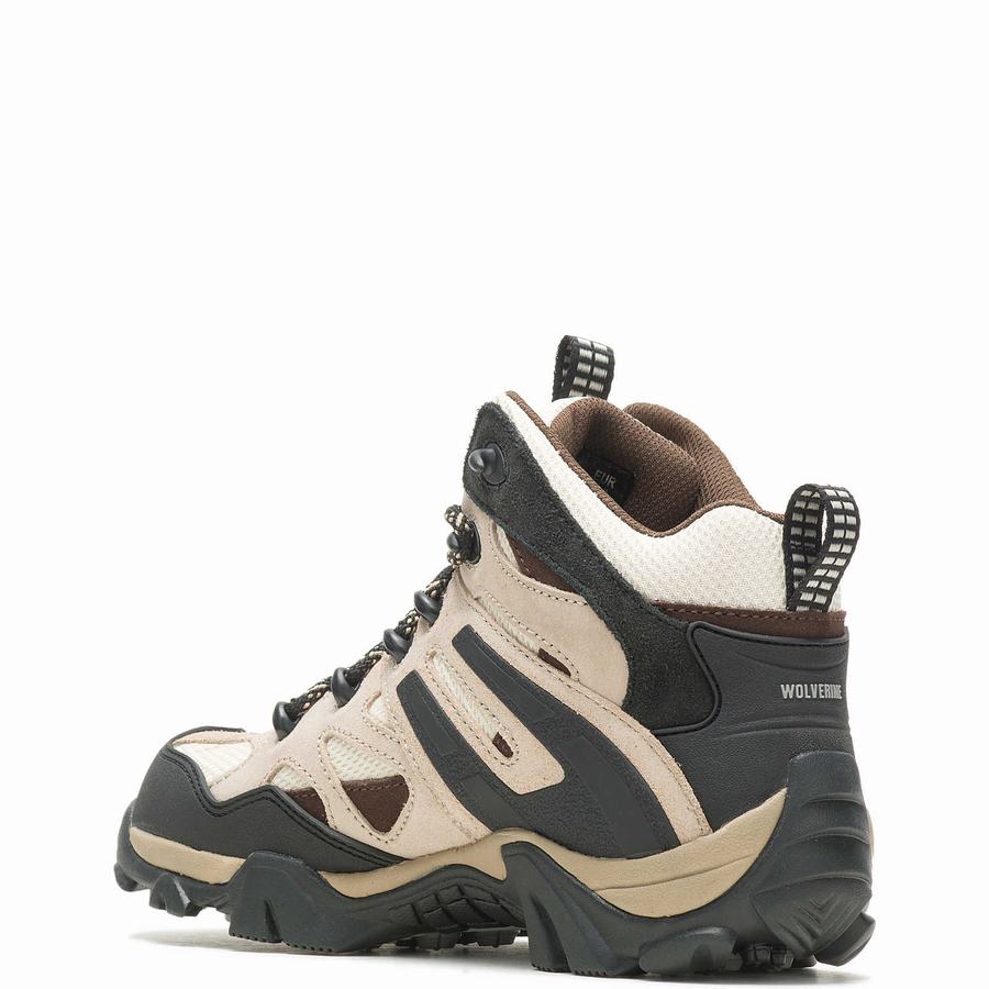 Beige Black Wolverine Wilderness Women Hiking Boots | GBI6871RP