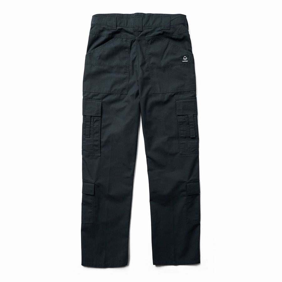 Black Wolverine Emergencys Men Pants | CCZ2139PC