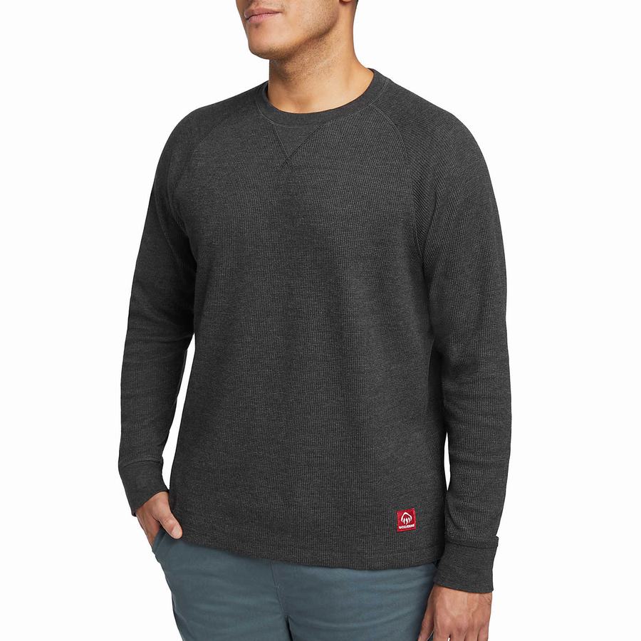 Black Wolverine Walden II Thermal Long Sleeve Tee Men T Shirts | DXM1195PF