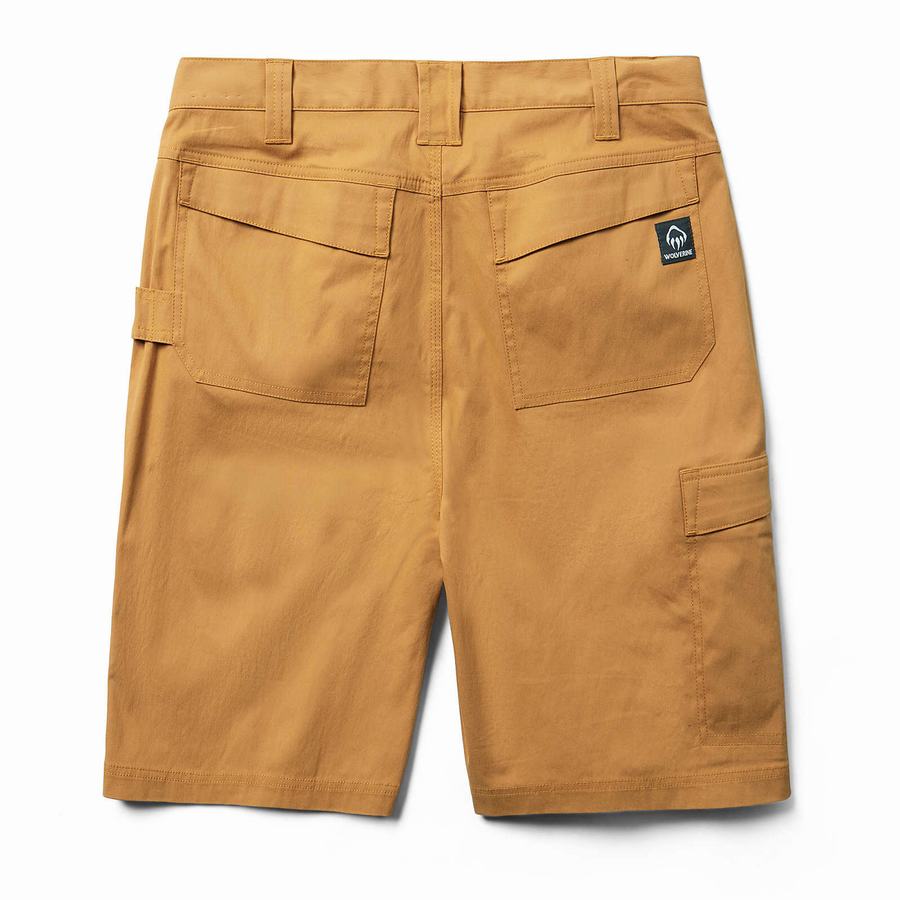 Brown Wolverine Carbur Men Shorts | LDB7320VP