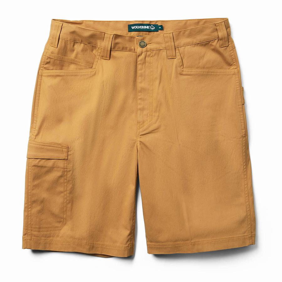 Brown Wolverine Carbur Men Shorts | LDB7320VP