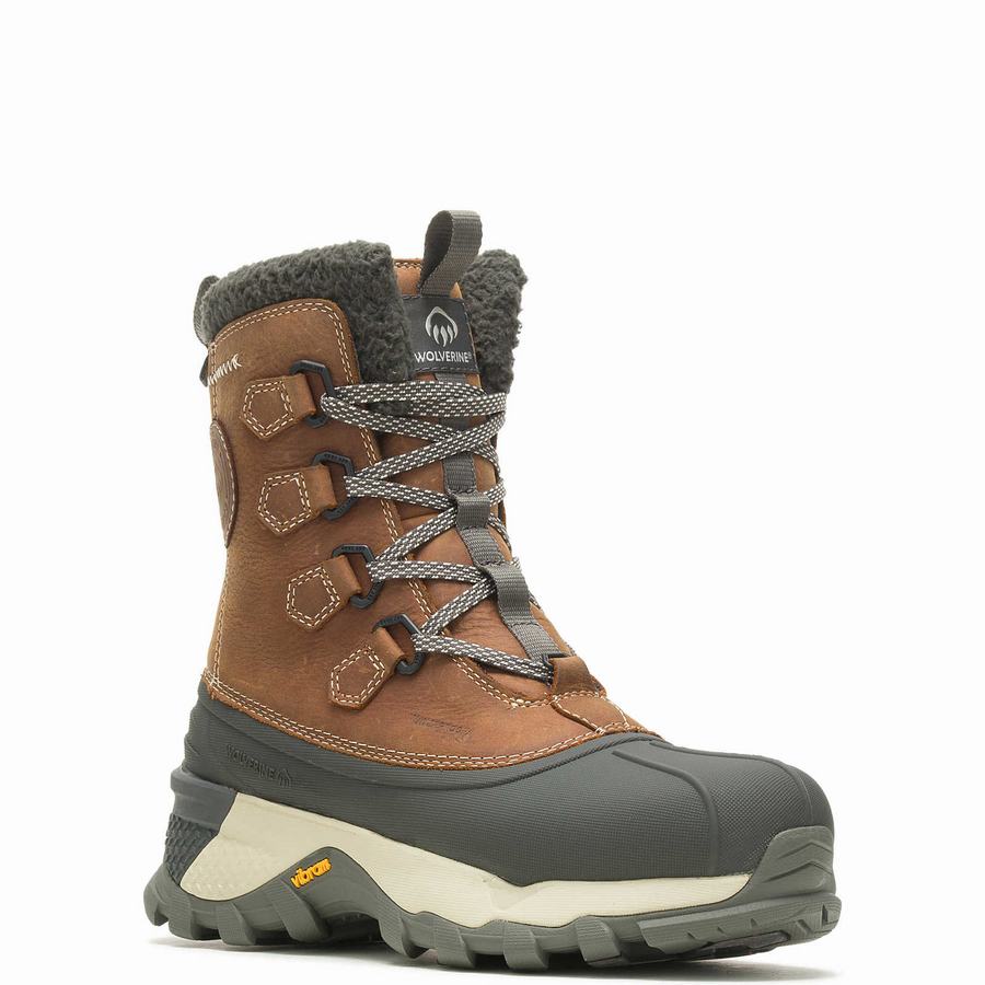 Brown Wolverine Glacier Surge Arctic Insulated Men Work Boots | ZBM1714MR