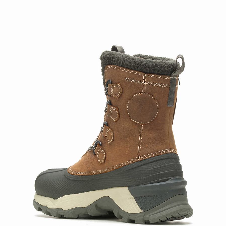 Brown Wolverine Glacier Surge Arctic Insulated Men Work Boots | ZBM1714MR