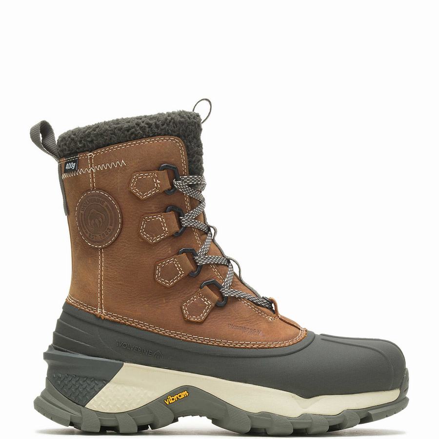 Brown Wolverine Glacier Surge Arctic Insulated Men Work Boots | ZBM1714MR