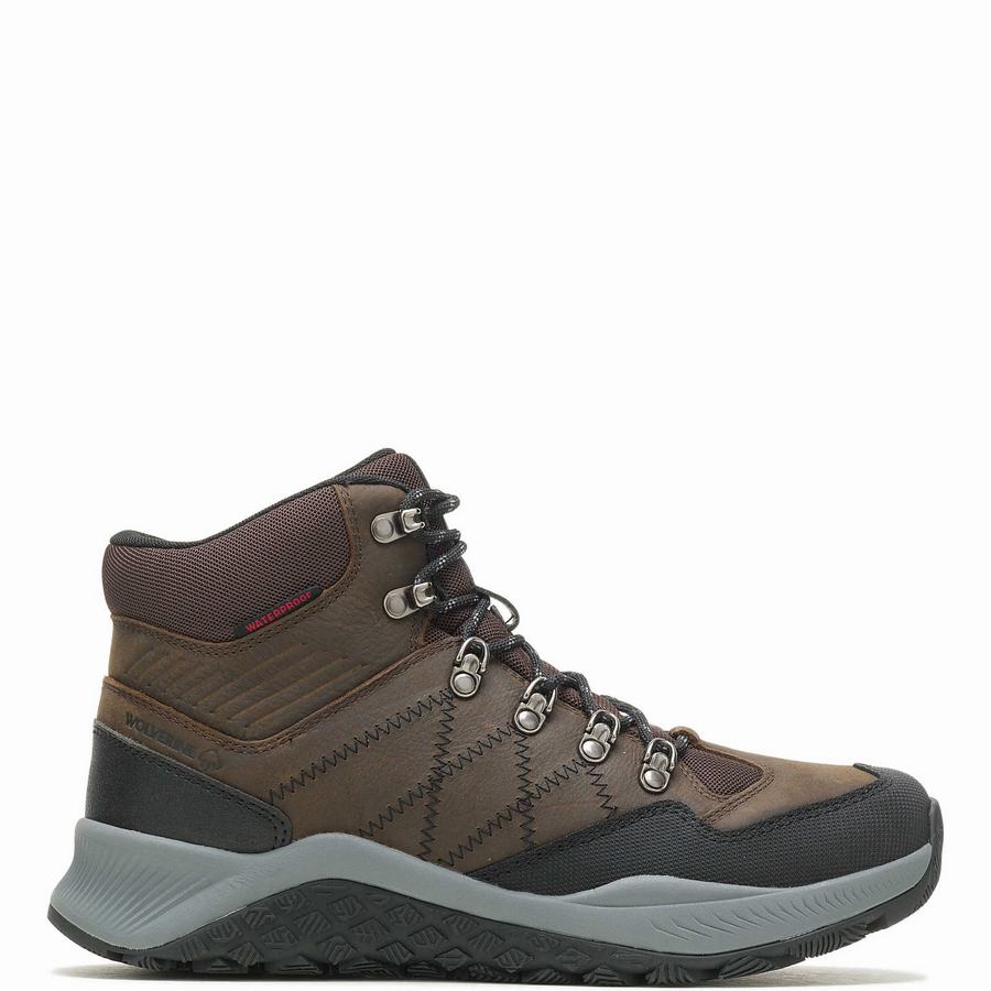 Brown Wolverine Luton Waterproof Men Hiking Boots | RCA298KR