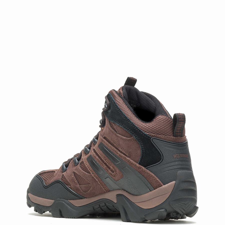 Brown Wolverine Wilderness Men Hiking Boots | IIL544SL