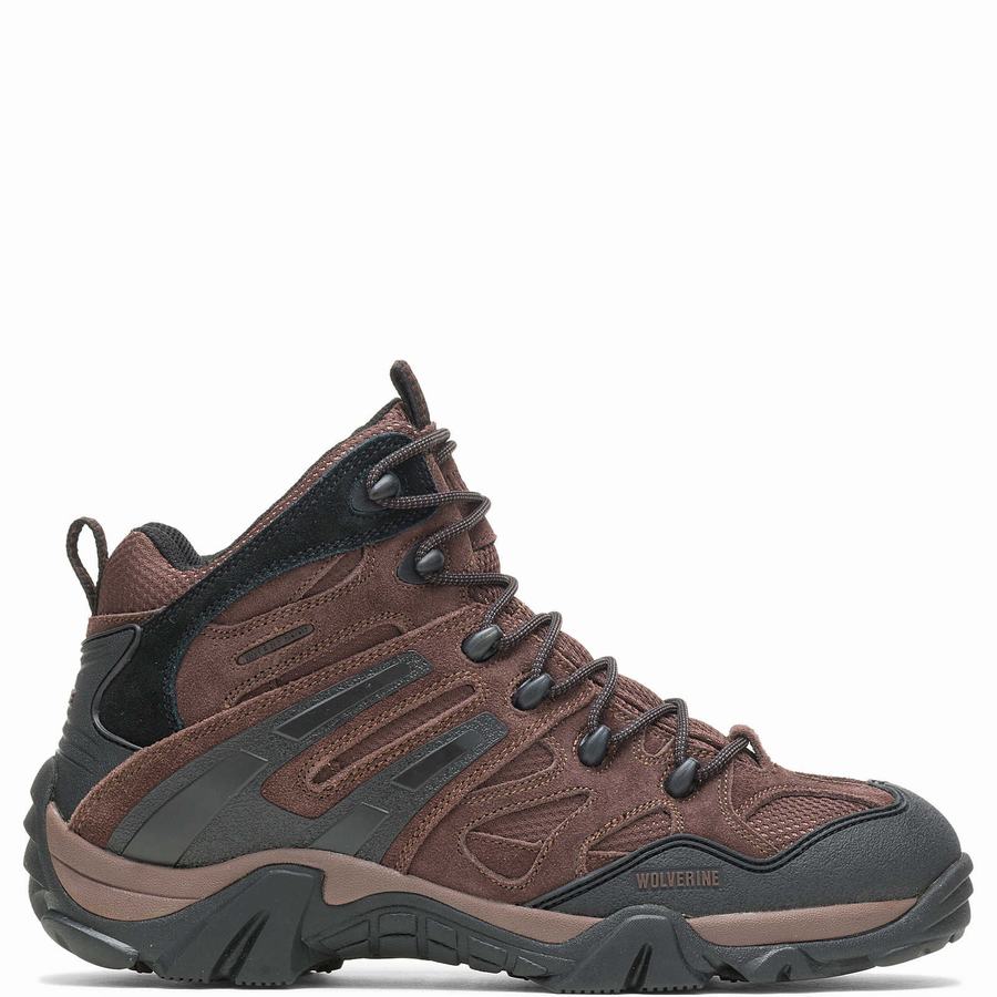 Brown Wolverine Wilderness Men Hiking Boots | IIL544SL