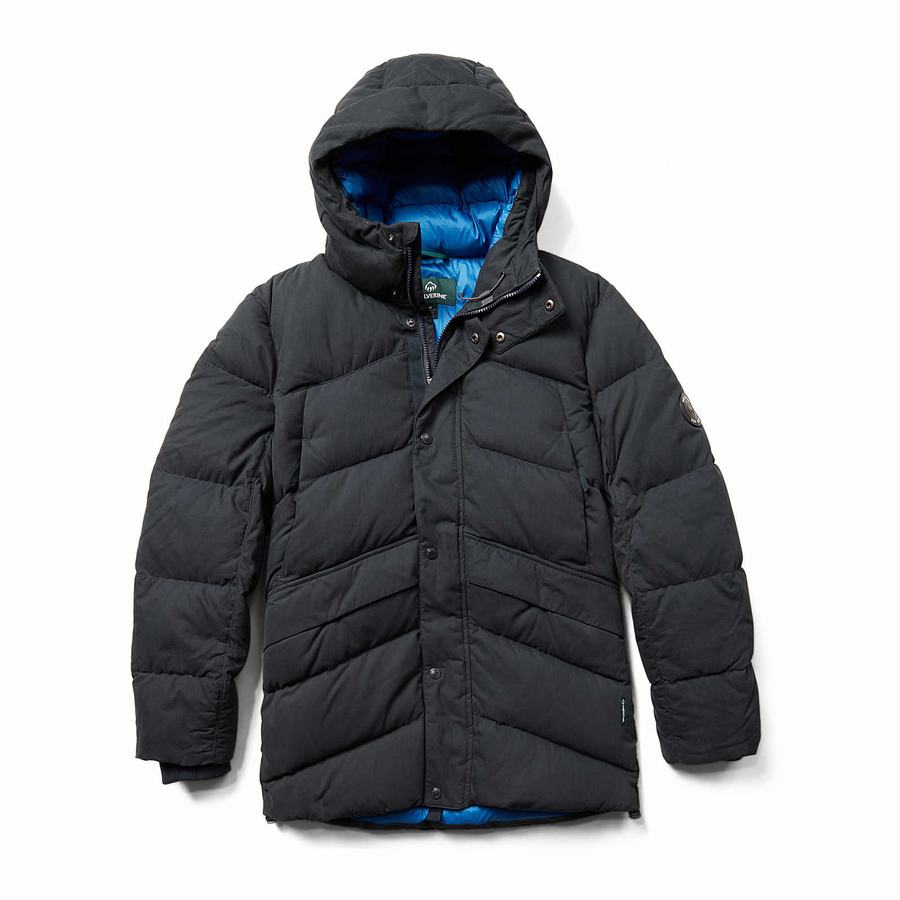 Dark Navy Wolverine Frost Down Parka Men Jackets | FGT6995FX